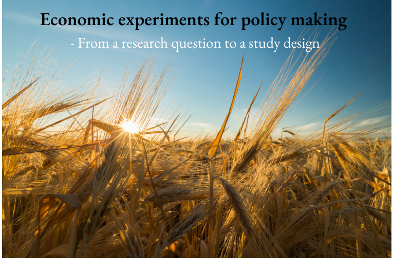 Economic experiments for policy making – From a research question to a study design